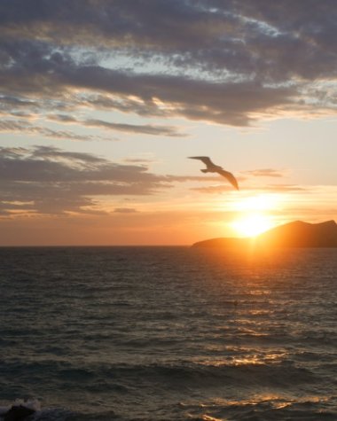 Ibiza Becomes a Tax Haven for Gifts and Inheritances